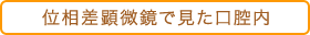 位相差顕微鏡で見た口腔内